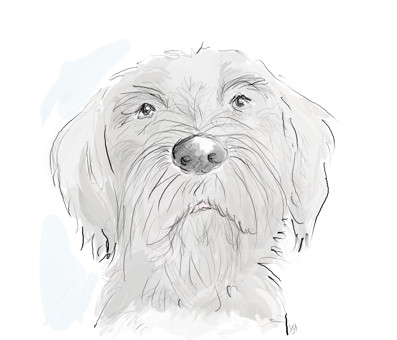 hva så homie morfar hund yvonne krogh hva så homie morfar hund yvonne krogh