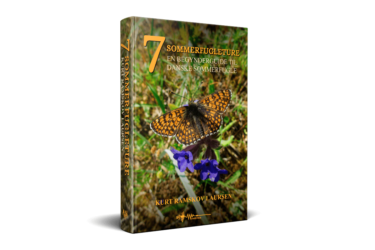 Syv sommerfugleture kurt ramskov laursen Syv sommerfugleture kurt ramskov laursen