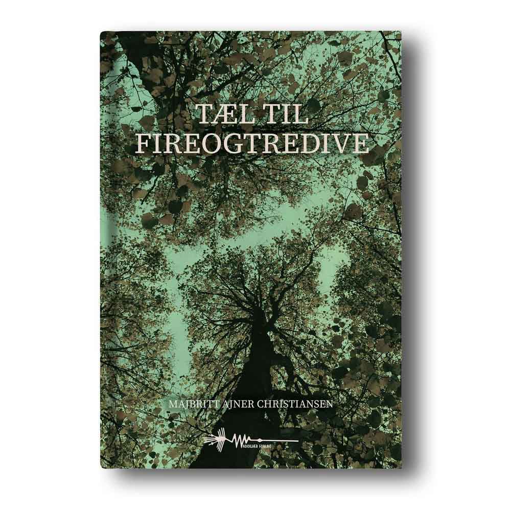 9788785393975 tæl til fireogtredive majbritt ajner christiansen wadskjær forlag