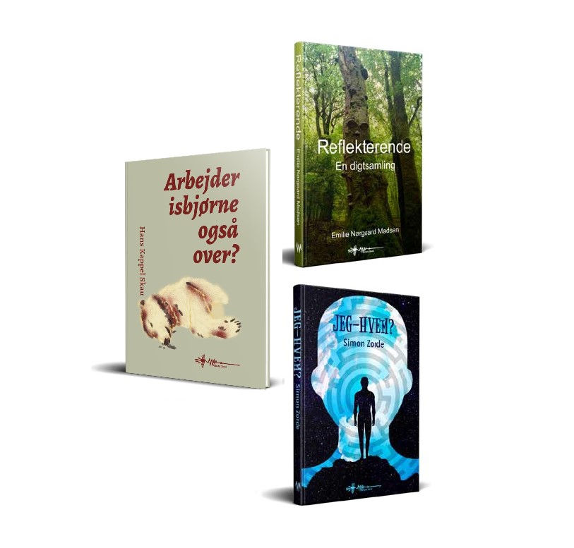 Unge digtere 2024 arktisk reflekterende jeg hjem Unge digtere 2024 arktisk reflekterende jeg hjem